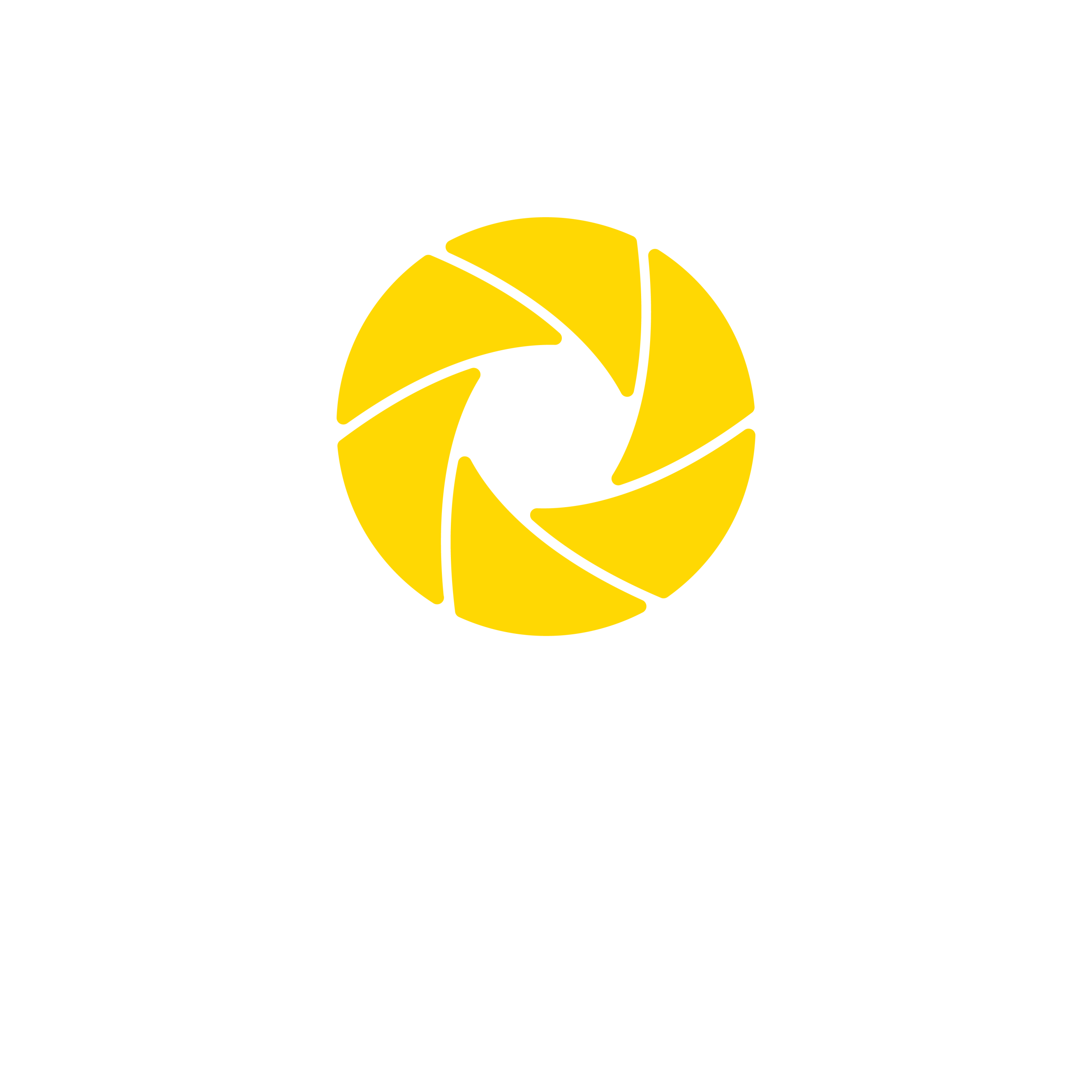 Agência Marcus Silva - Logotipo Principal - Texto Branco